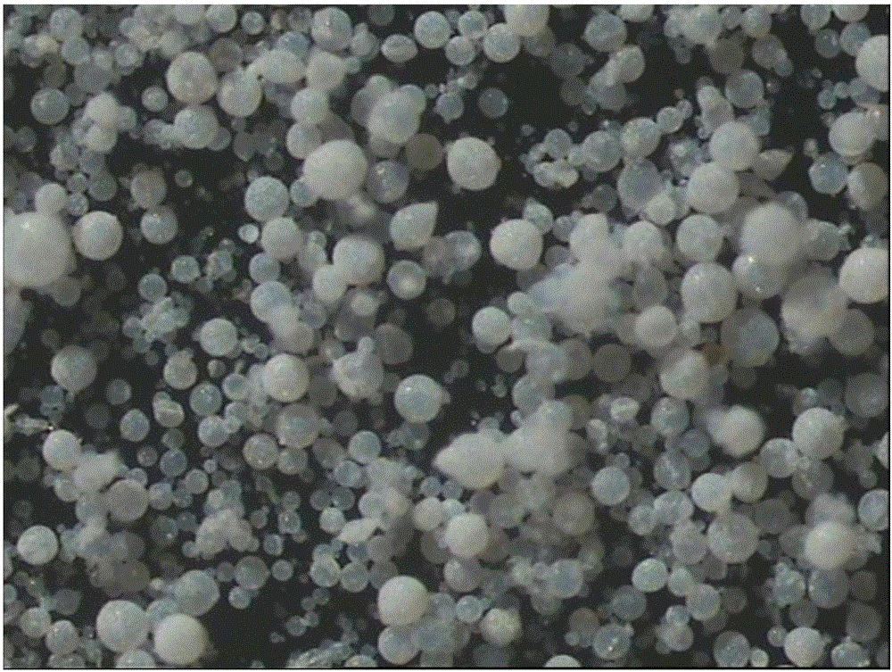 Spherical carrier and olefin polymerization catalyst, preparation methods and application of spherical carrier and olefin polymerization catalyst, and olefin polymerization method