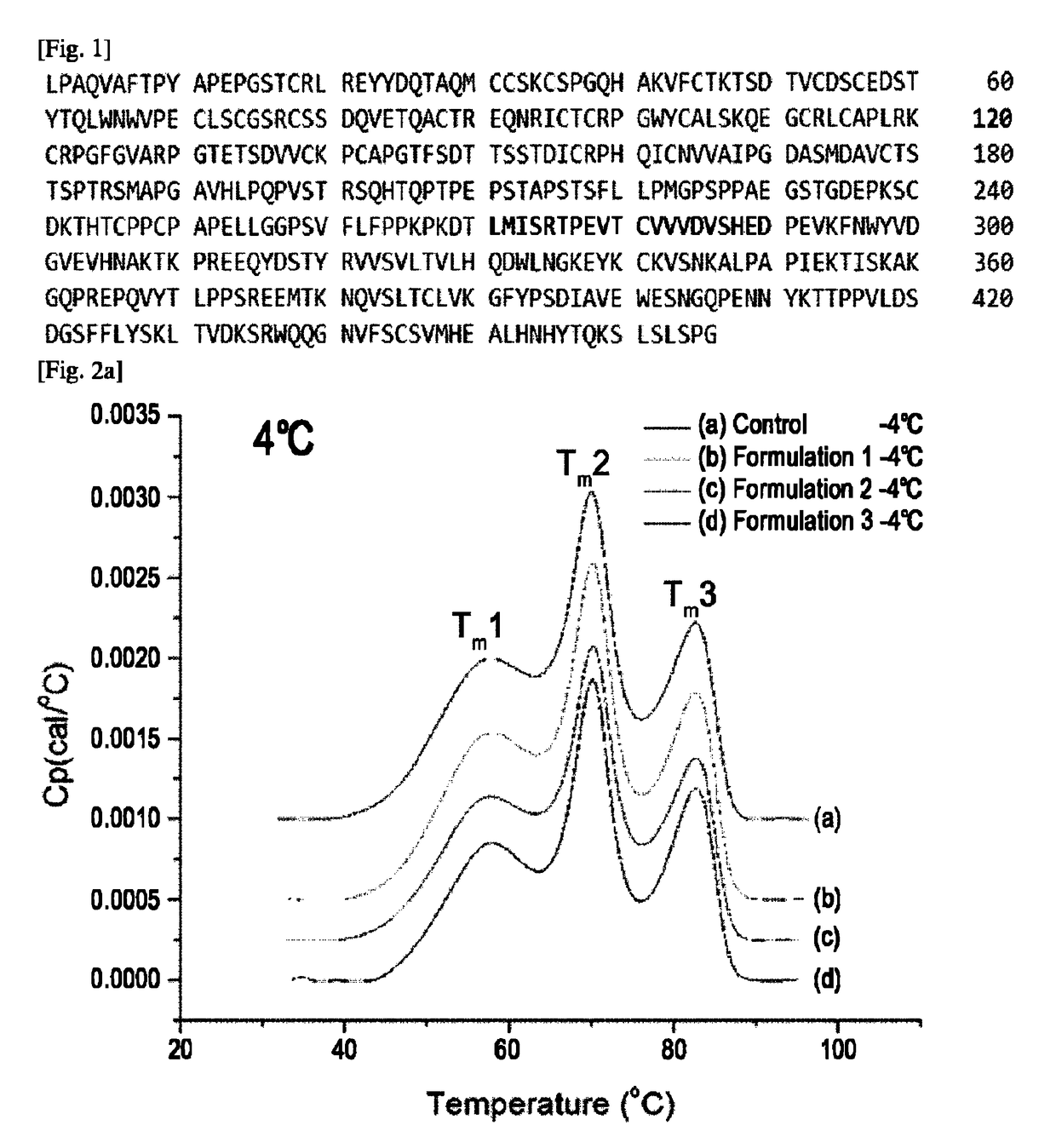 Liquid formulation of a fusion protein comprising TNFR and Fc region