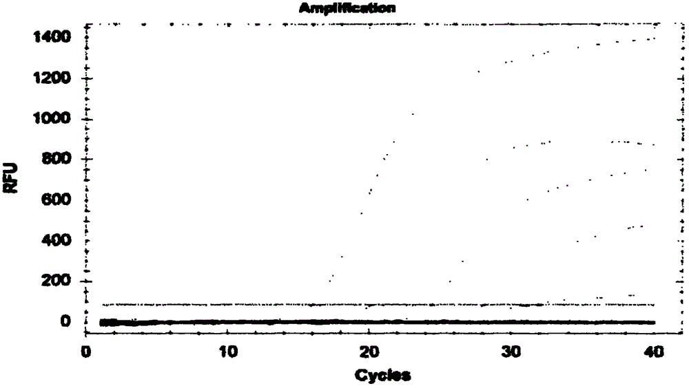 PCR (Polymerase Chain Reaction) method and kit for quickly detecting Enterobacter sakazakii in baby formula