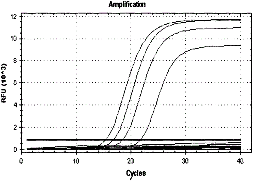 PCR (Polymerase Chain Reaction) method and kit for quickly detecting Enterobacter sakazakii in baby formula