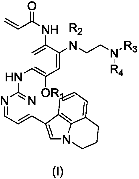 Deuterated 3-(4,5-substituted amino pyrimidine)phenyl derivatives, and applications thereof
