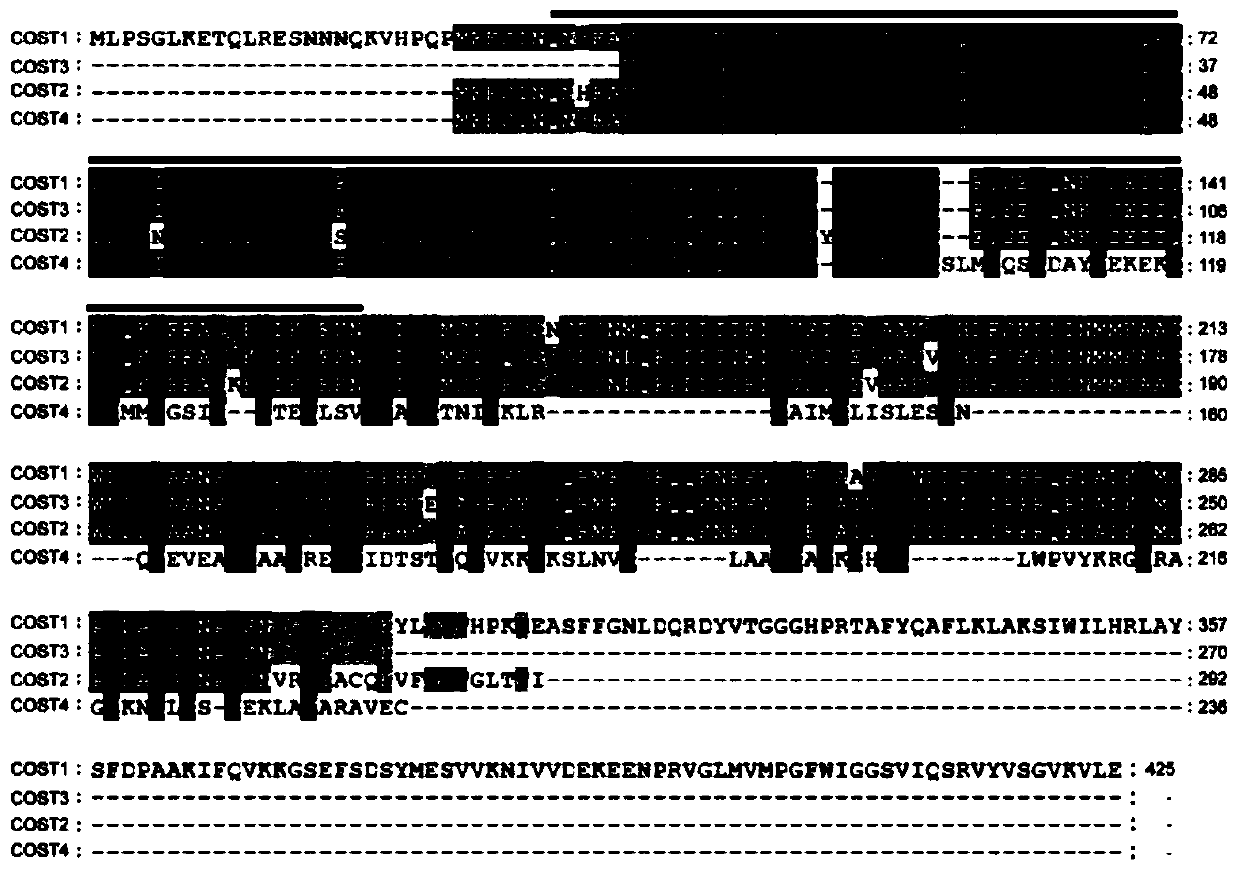 Method for improving plant drought resistance by inhibiting expression of cost1 gene