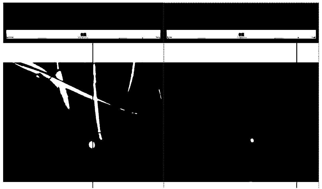 Technical method for single-picture photographic measurement of underground pipe well