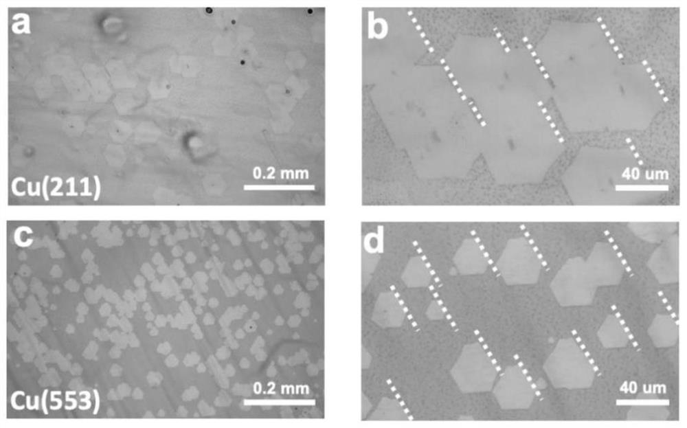 A method for growing single crystal graphene using single crystal copper foil of arbitrary index plane