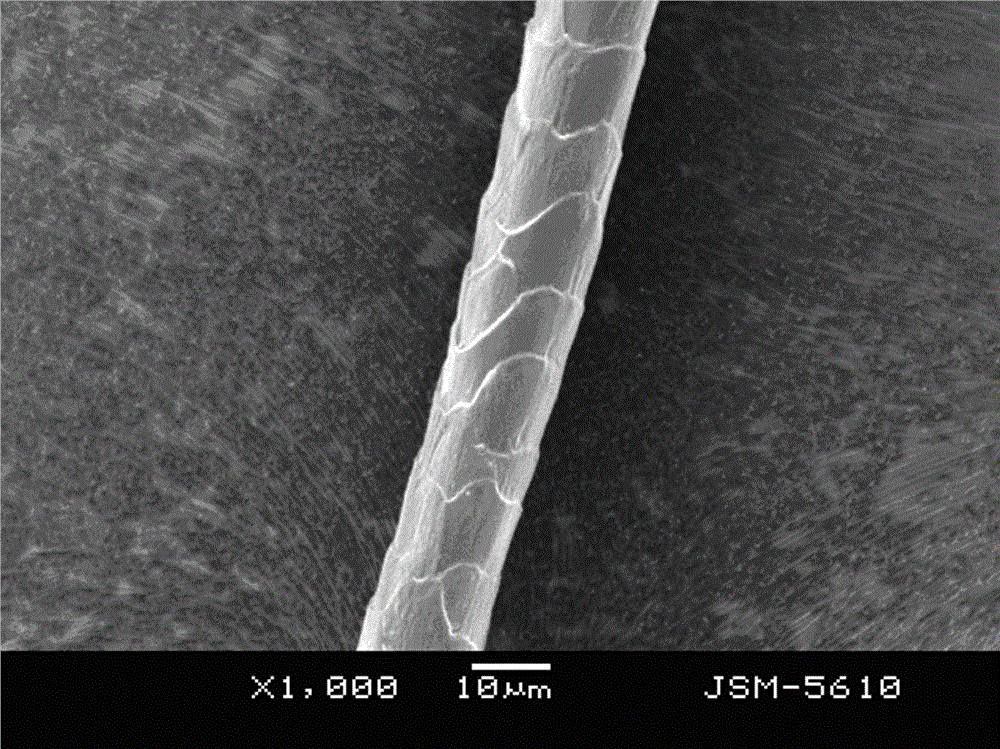 Wool surface catalytic oxidation and modification method