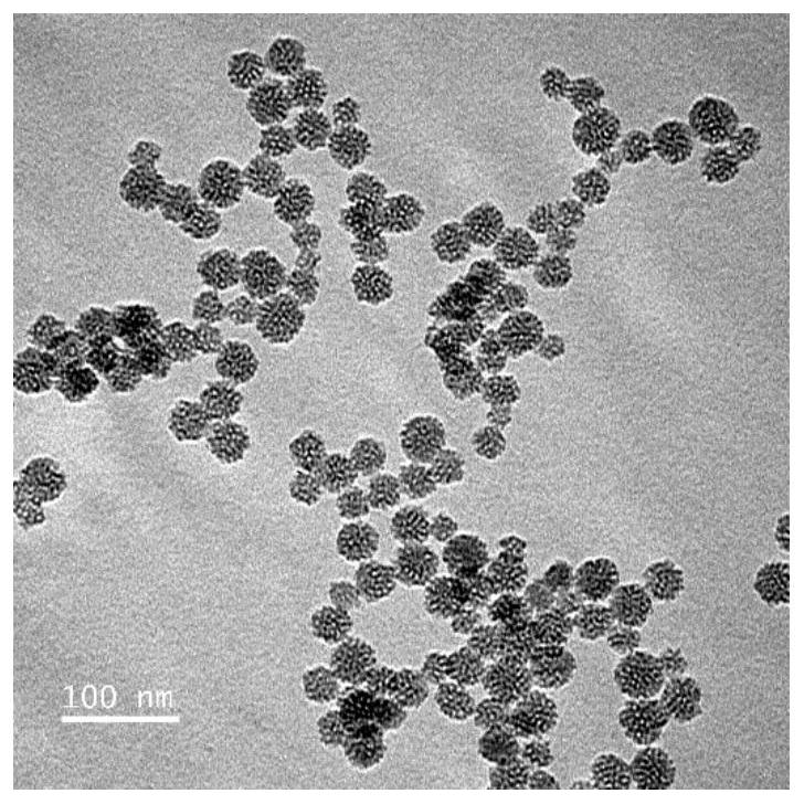 Nanocomposite carrier for double loading of peptides and chemotherapeutic drugs and its preparation and application