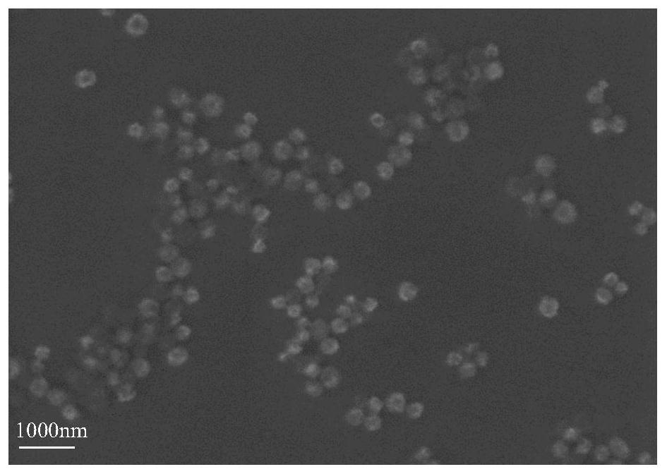 Nanocomposite carrier for double loading of peptides and chemotherapeutic drugs and its preparation and application