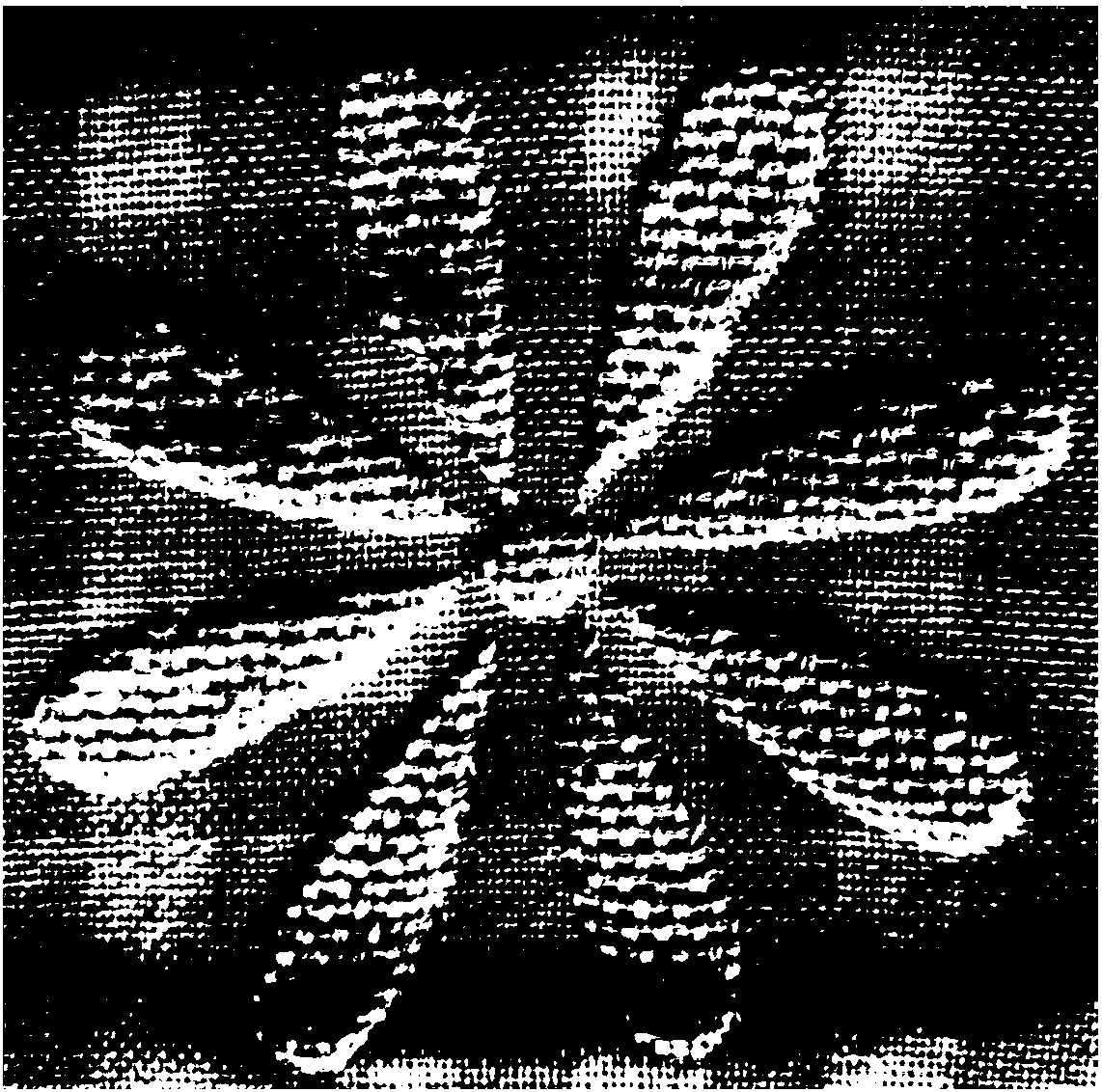 Double-sided-embossed and different-flower-pattern multi-layer non-loop towel and quilt fabric and weaving method thereof