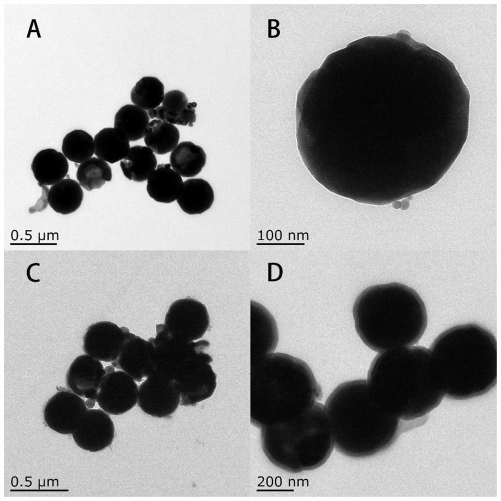 Preparation method and application of photo-responsive imprinted material based on magnetic ferroferric oxide nanoparticles