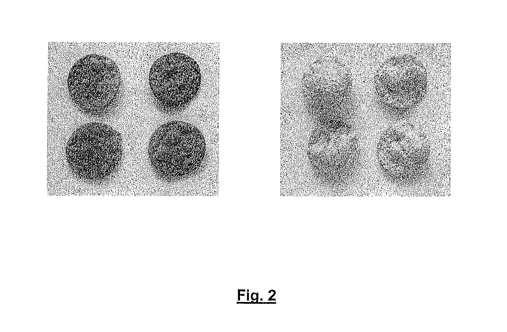 Food product made from plant parts containing starch and method for the production of said food product