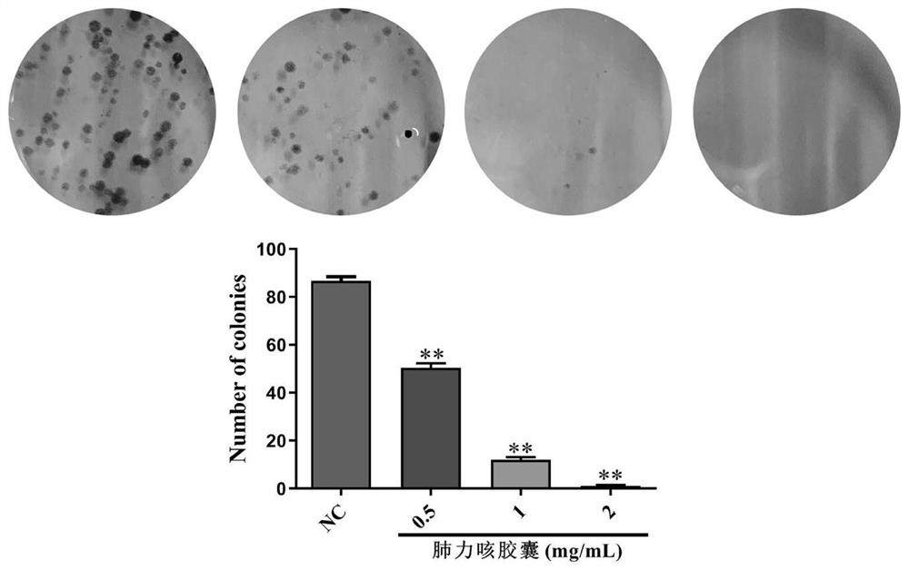 Application of lung cough in preparation of products for preventing and treating breast cancer