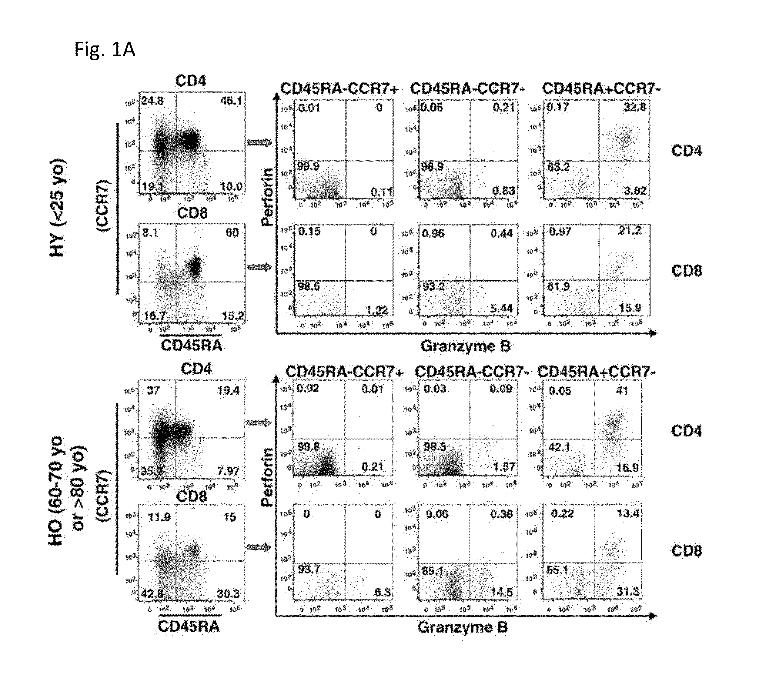 Methods of Determining Cell Mediated Response