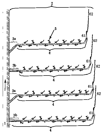 Shed pear tree fruiting branch group and culturing method thereof