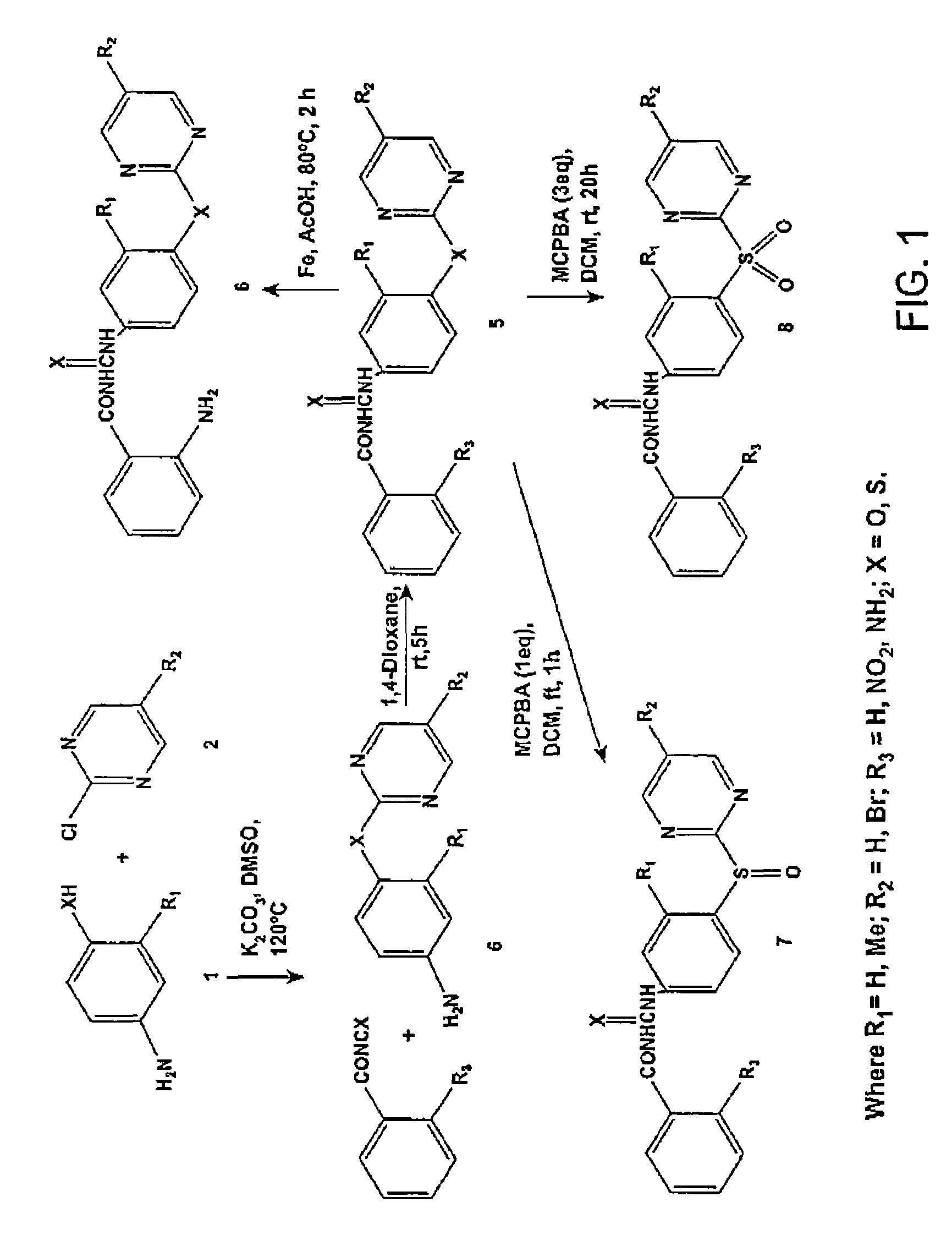 Synthesis of novel tubulin polymerization inhibitors: benzoylphenylurea (BPU) sulfur analogs