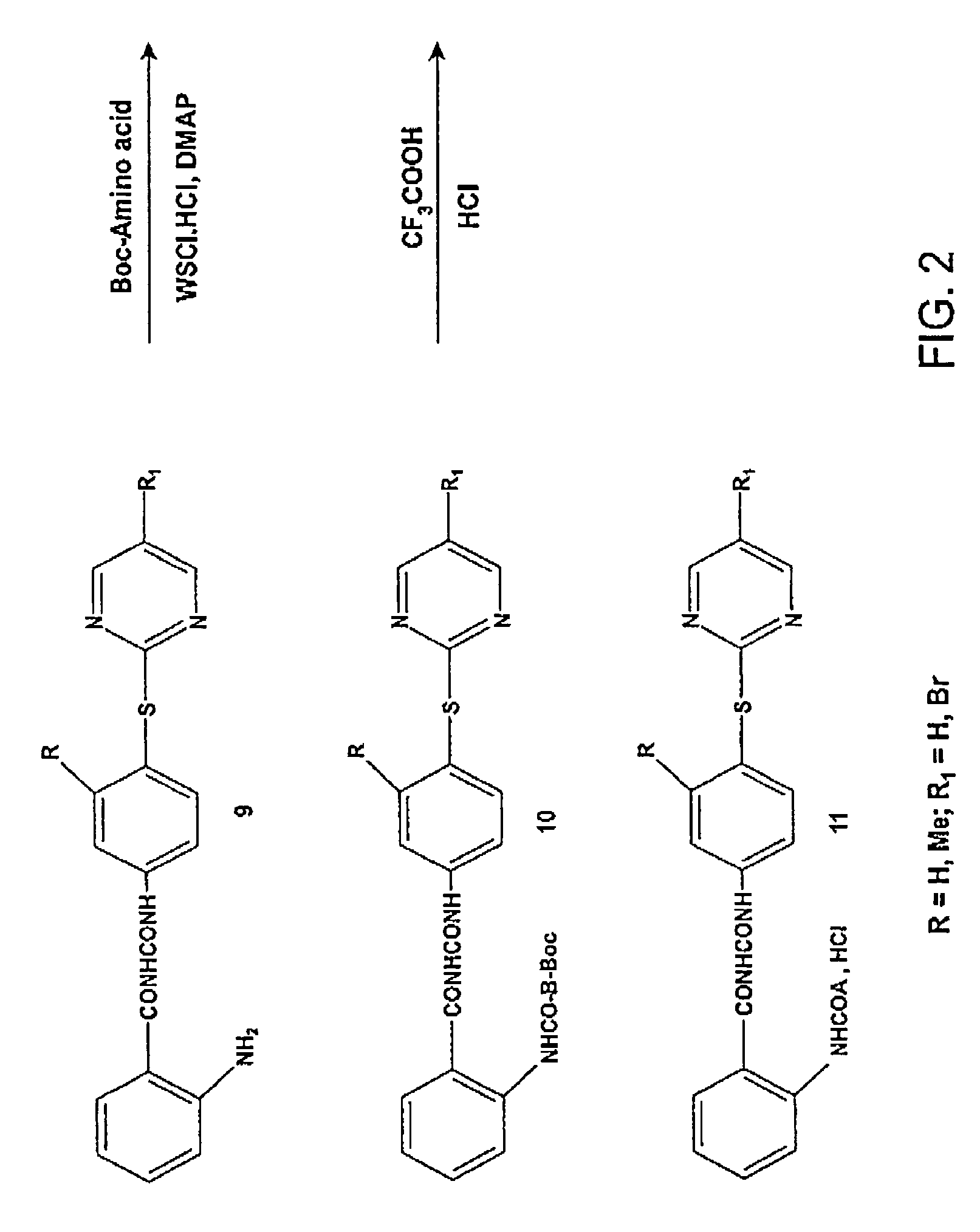 Synthesis of novel tubulin polymerization inhibitors: benzoylphenylurea (BPU) sulfur analogs