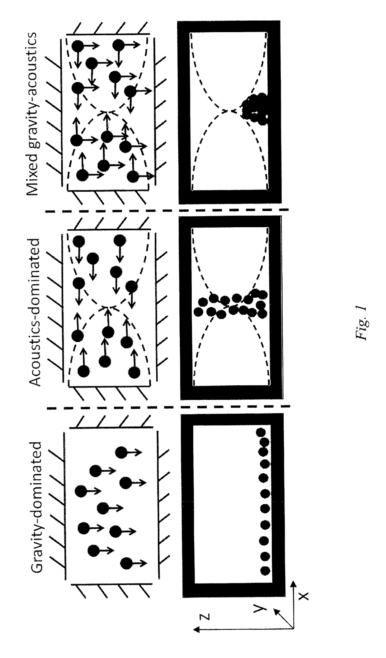 Anisotropic films templated using ultrasonic focusing