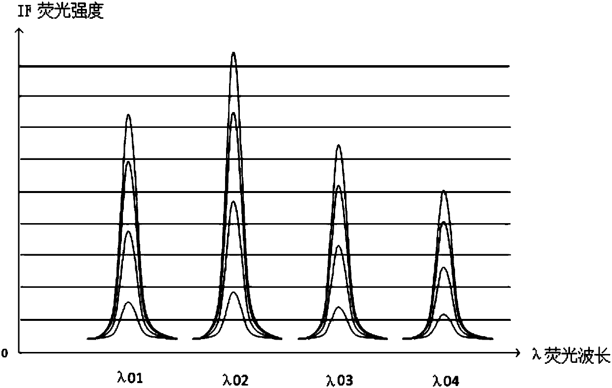 Dispersive atomic fluorescence multi-channel simultaneous detection method based on digital micromirror device (DMD)