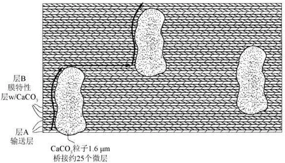 Coextruded multilayer film with filler in transport layer