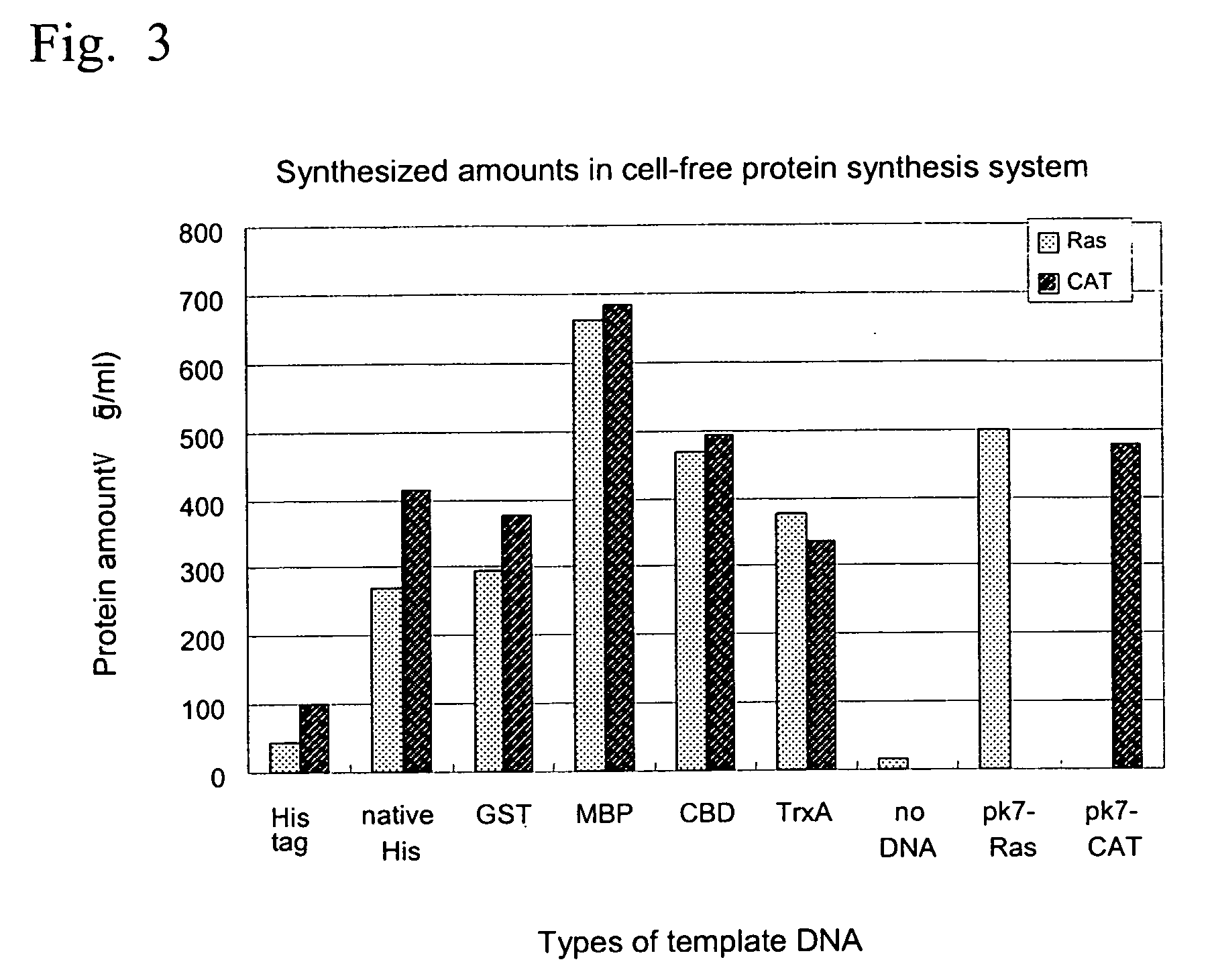 Process for producing template DNA and process for producing protein in cell-free protein synthesis system with the use of the same