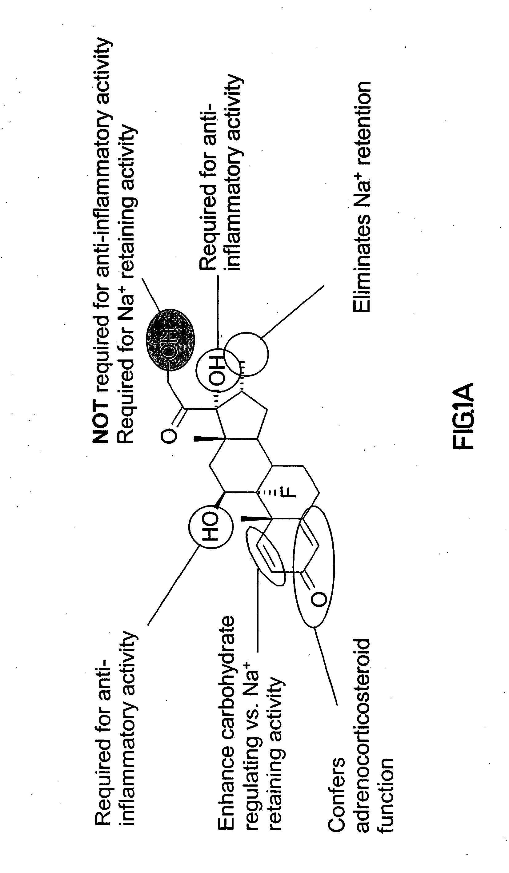 Synthesis and use of reagents for improved DNA lipofection and/or slow release prodrug and drug therapies