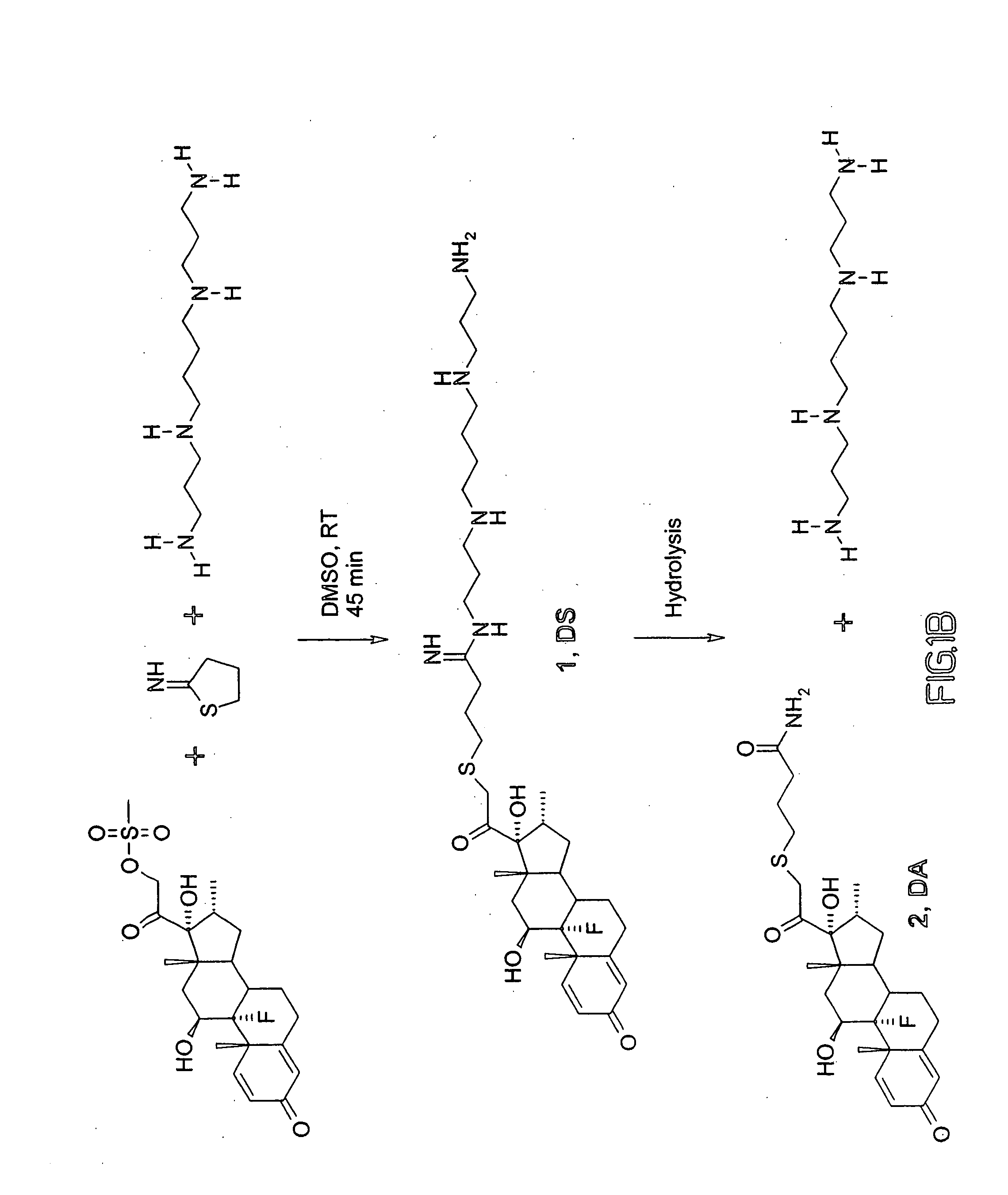 Synthesis and use of reagents for improved DNA lipofection and/or slow release prodrug and drug therapies