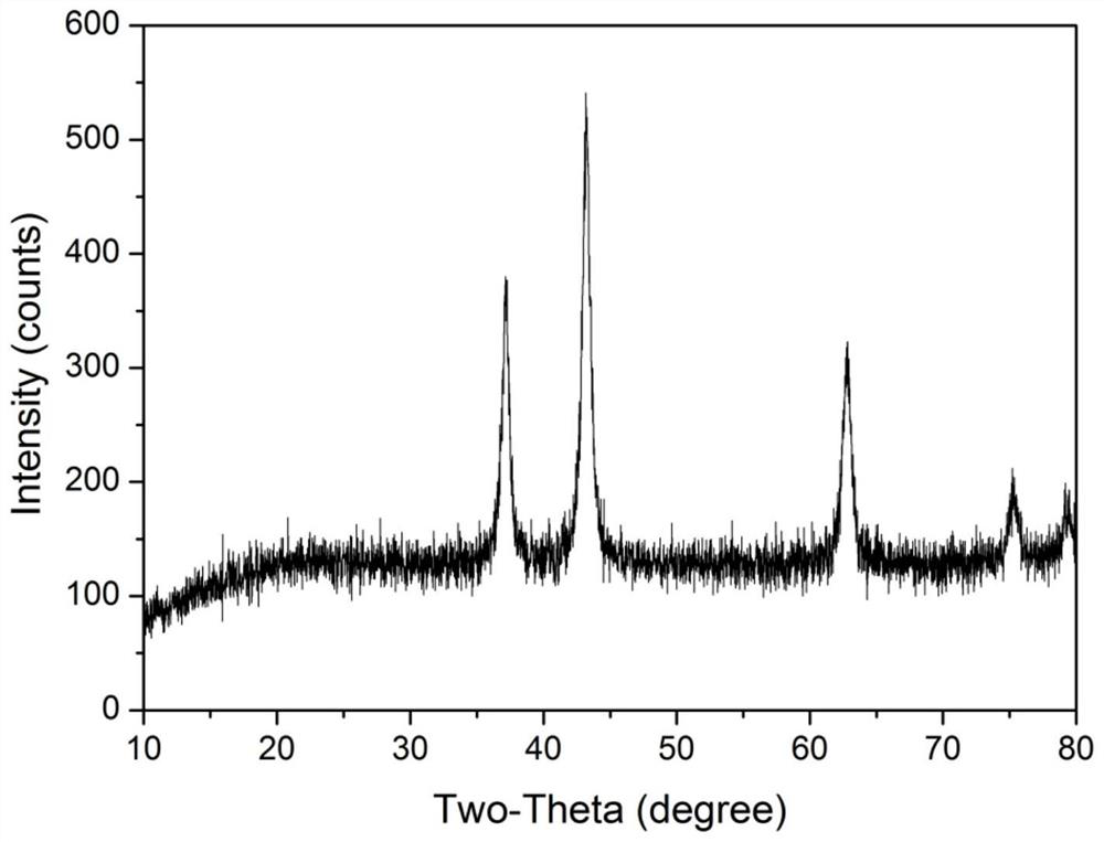 Method for preparing nickel oxide nanoparticles from water hyacinth and application