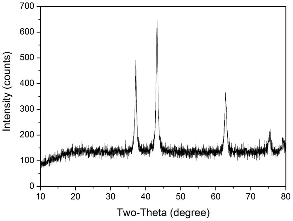 Method for preparing nickel oxide nanoparticles from water hyacinth and application