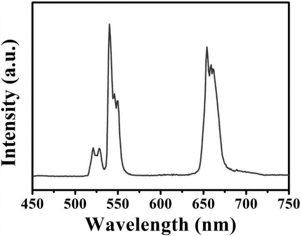 Preparation of up-conversion nanoparticles and method of showing occult blood fingerprint