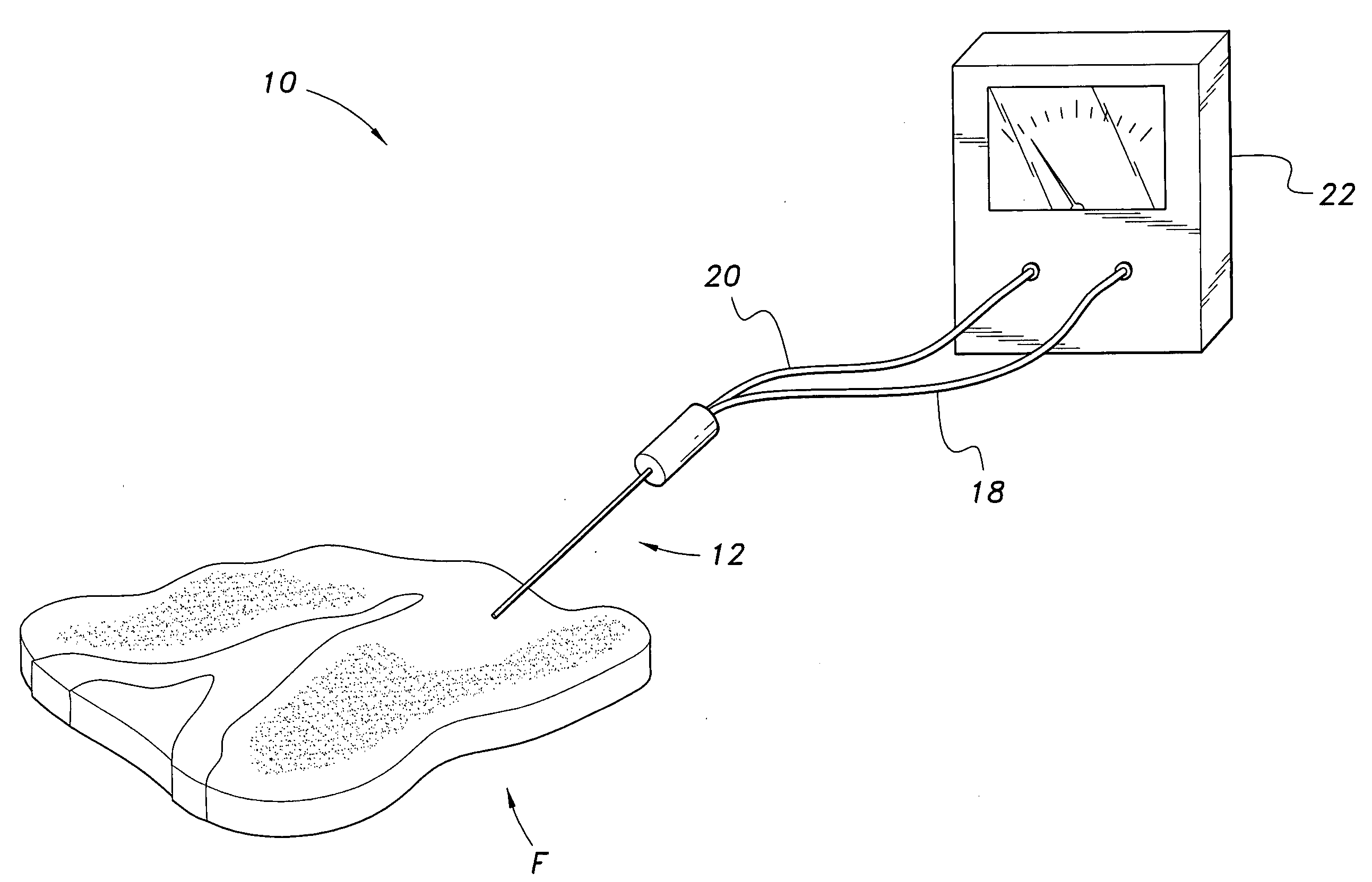 Device and method for testing food quality