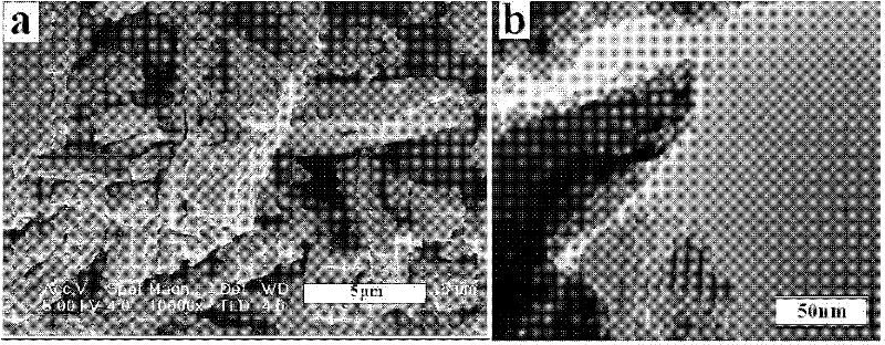 Method for preparing nanometer light adsorption material based on plant thylakoid structure