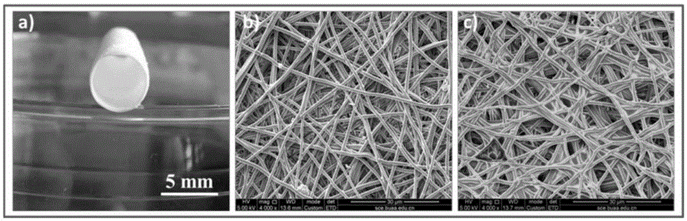 A kind of high-strength and high-elastic vascular stent and preparation method thereof