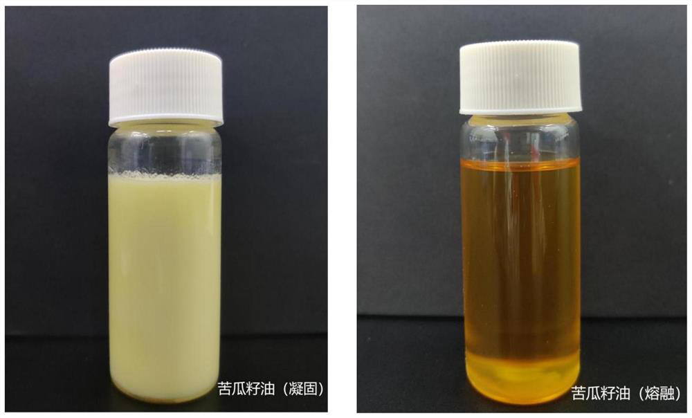 Bitter gourd seed oil antibacterial fibrous membrane and preparation method thereof