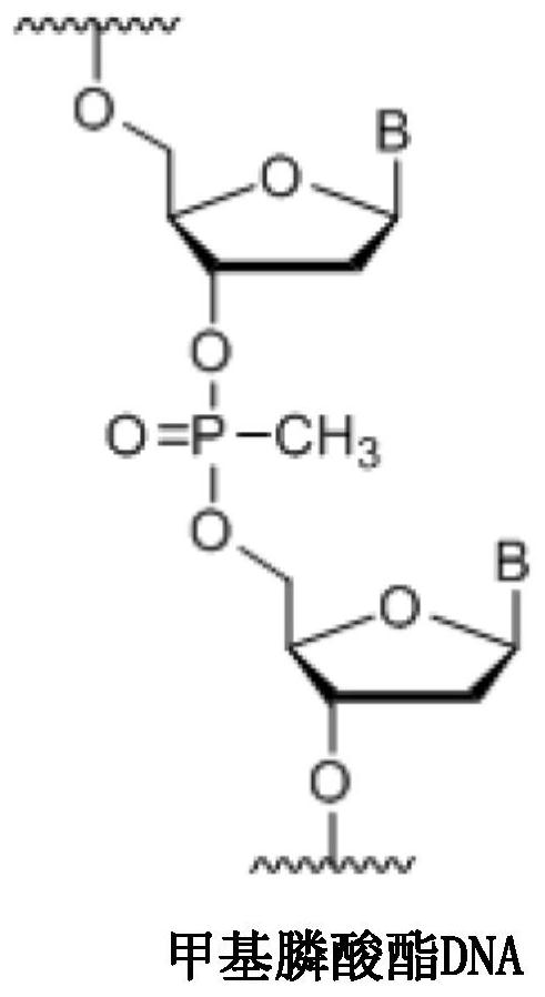 Chemically modified oligonucleotides for RNA editing