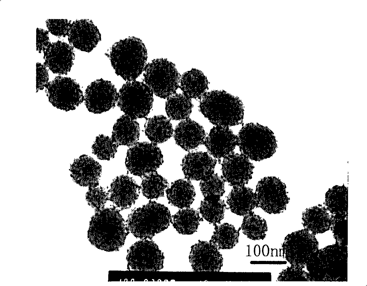 Magnetic composite nano microsphere capable of emitting fluorescence and preparation thereof