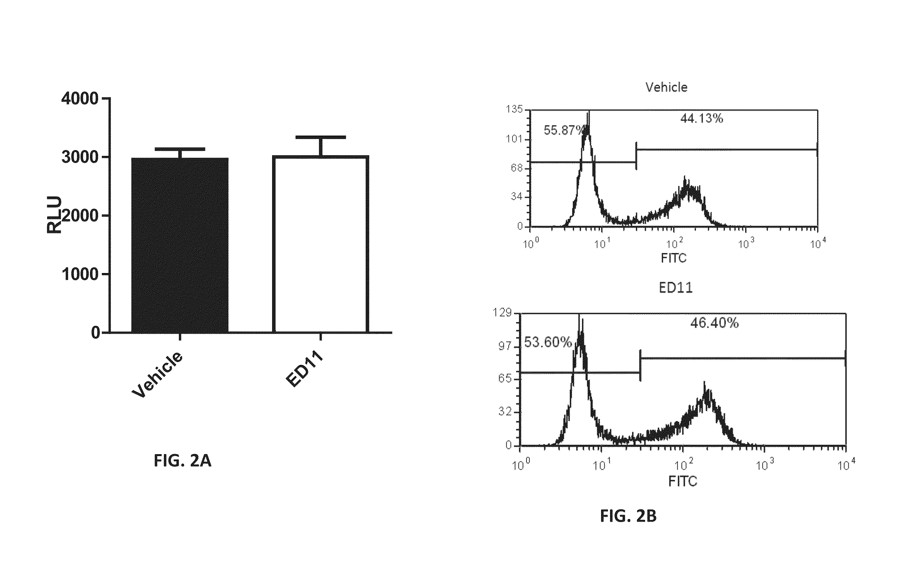 Peptides for the treatment of neurodegenerative diseases