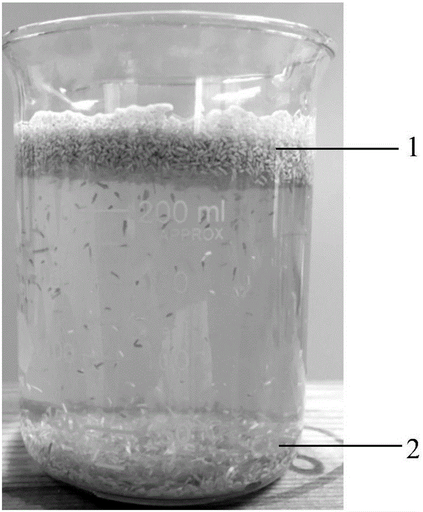 Method for separating parenchyma cells from fibers in bamboo wood