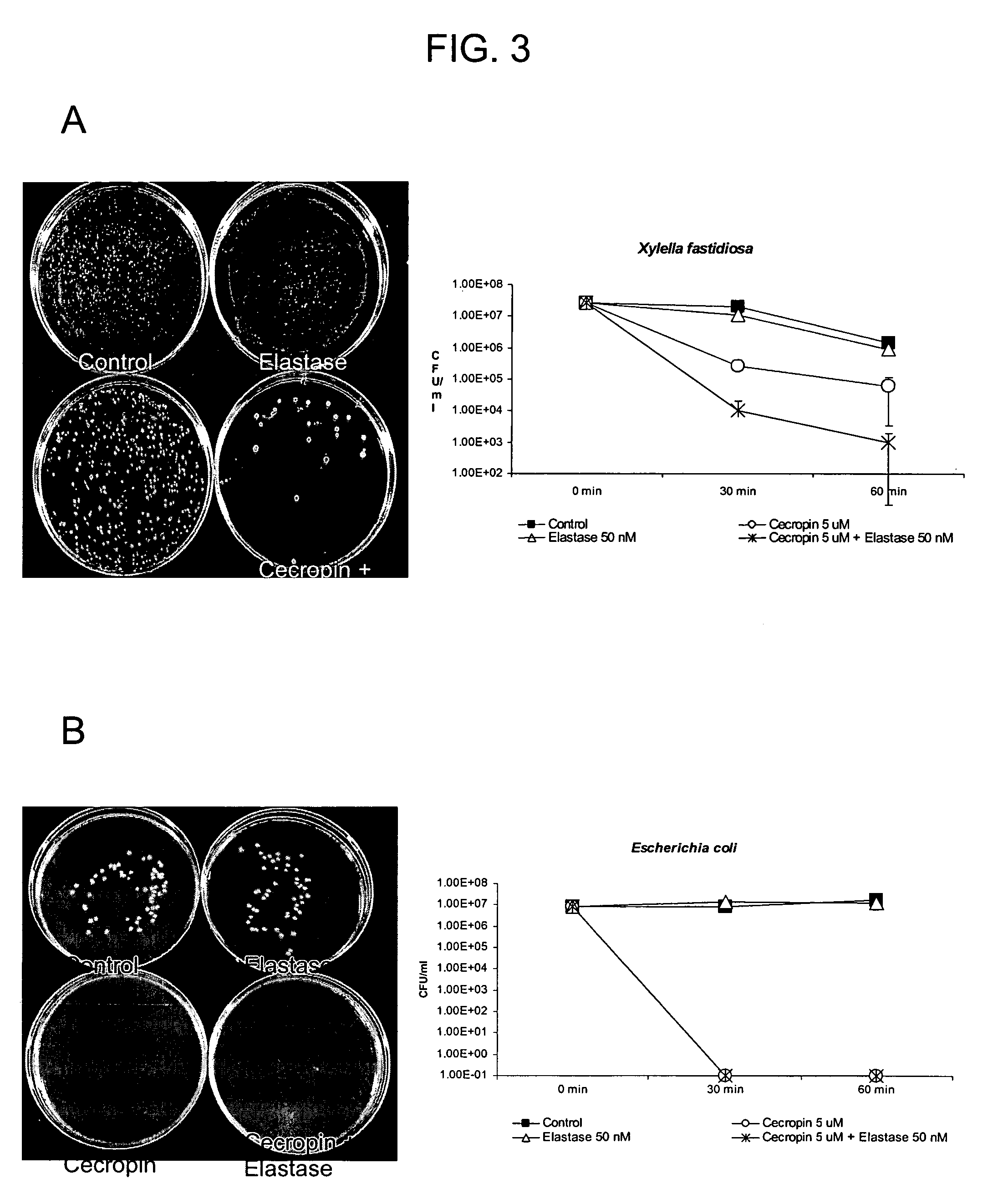 Compositions and methods for the treatment of Pierce's disease