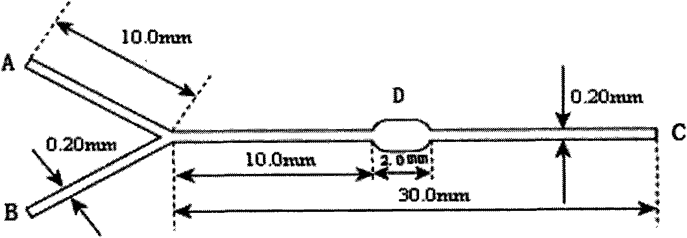 Cell sorter micro-fluidic chip based on immunomagnetic separation technology and application thereof in aspect of enrichment of rare cells