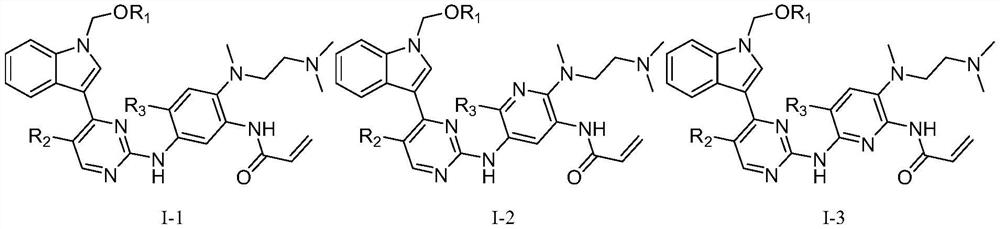 2-(2,4,5-substituted anilino)pyrimidine compounds and their applications