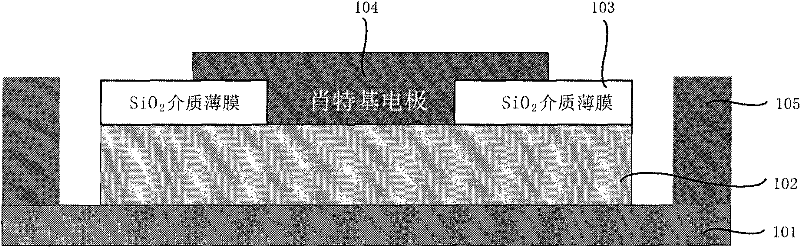 Gallium nitride based schottky diode with field plate structure