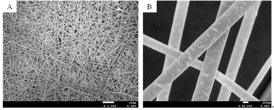 Oxidized chitosan grafted modified porcine dermis collagen micro-nanofibrous membrane and preparation method thereof
