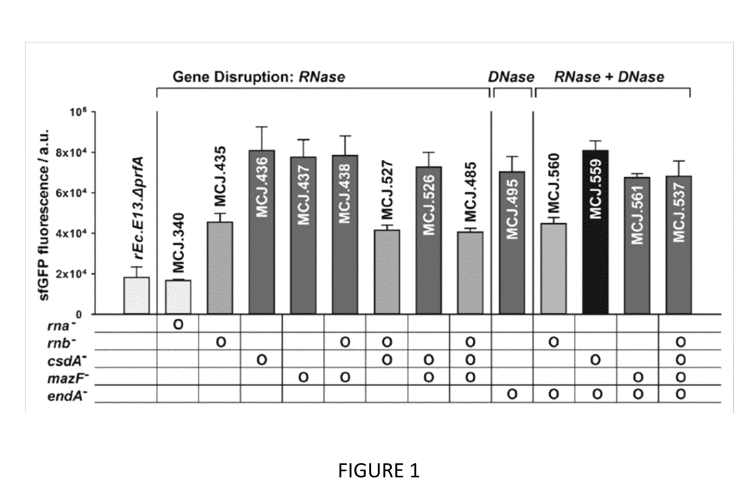 Methods for improved in vitro protein synthesis with proteins containing non standard amino acids