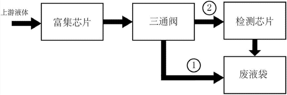 System and method for protein micromolecule enriching-detection based on microfluidic chip