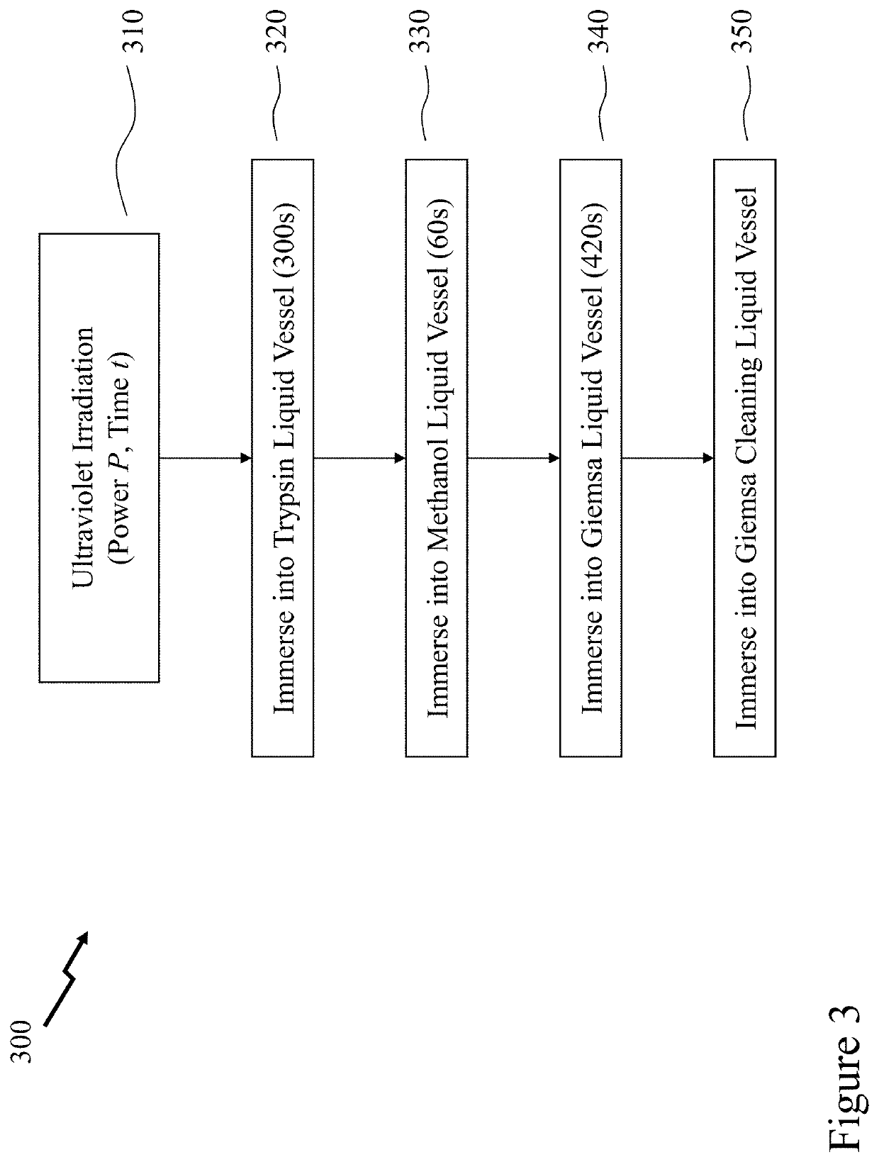 Staining and staining pre-treatment methods and devices