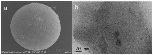 A device and method for synergistically degrading nitrate based on nanometer zero-valent iron conductive composite resin as catalyst