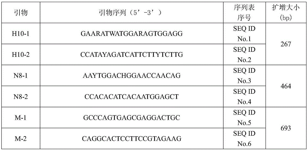Primer set and kit for triple RT-PCR detection of H10N8 subtype avian influenza viruses and application of primer set and kit