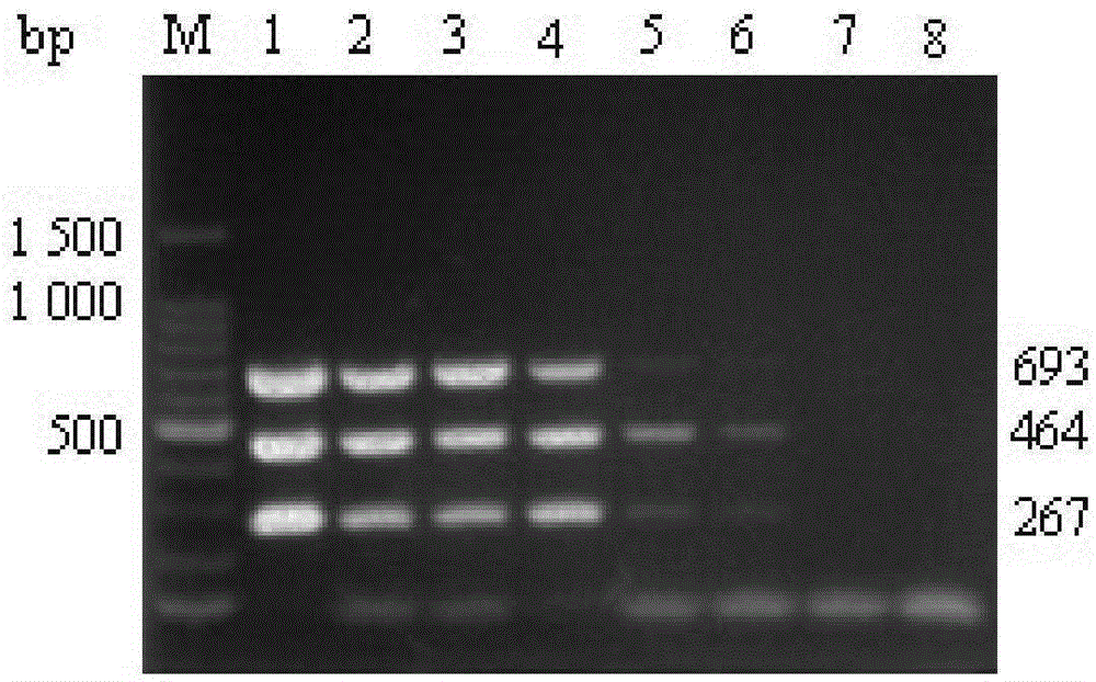 Primer set and kit for triple RT-PCR detection of H10N8 subtype avian influenza viruses and application of primer set and kit