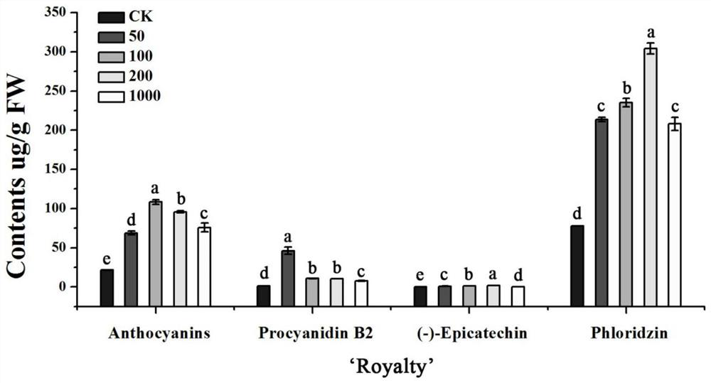 A method for promoting the accumulation of flavonoids in leaves of ornamental crabapple