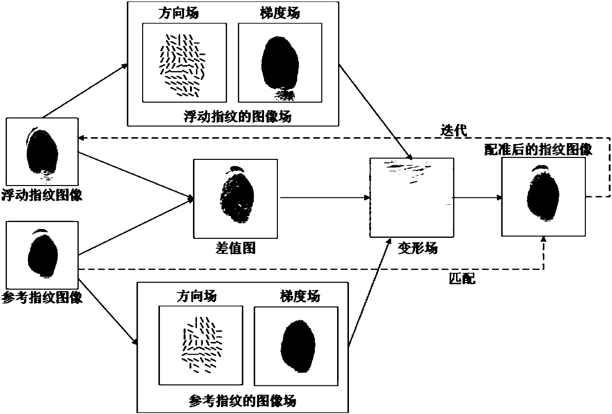 Fingerprint identification method of using image field-based non-rigid registration