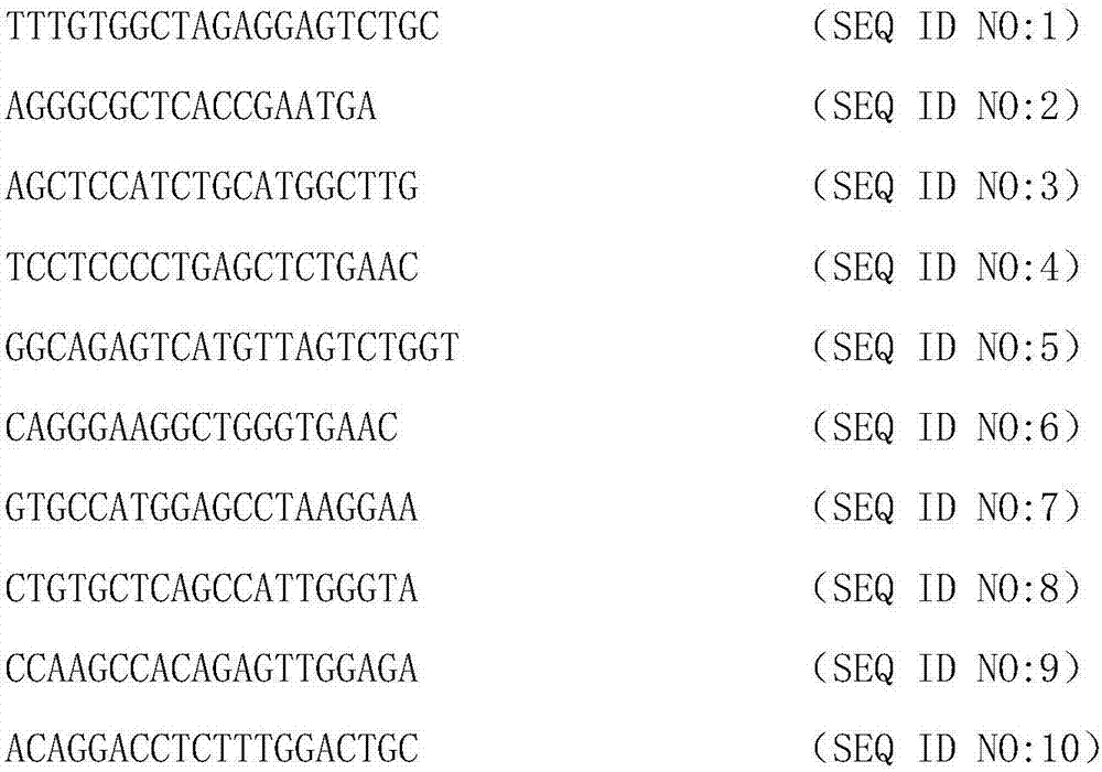 Quantitative sequencing and library building method and quantitative sequencing and detecting method for fusion gene on basis of DNA (Deoxyribonucleic Acid) and application of quantitative sequencing and detecting method